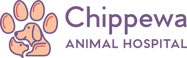 Chippewa Animal Hospital