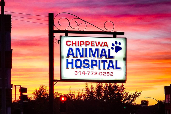 Chippewa Animal Hospital sign in front of pink sky