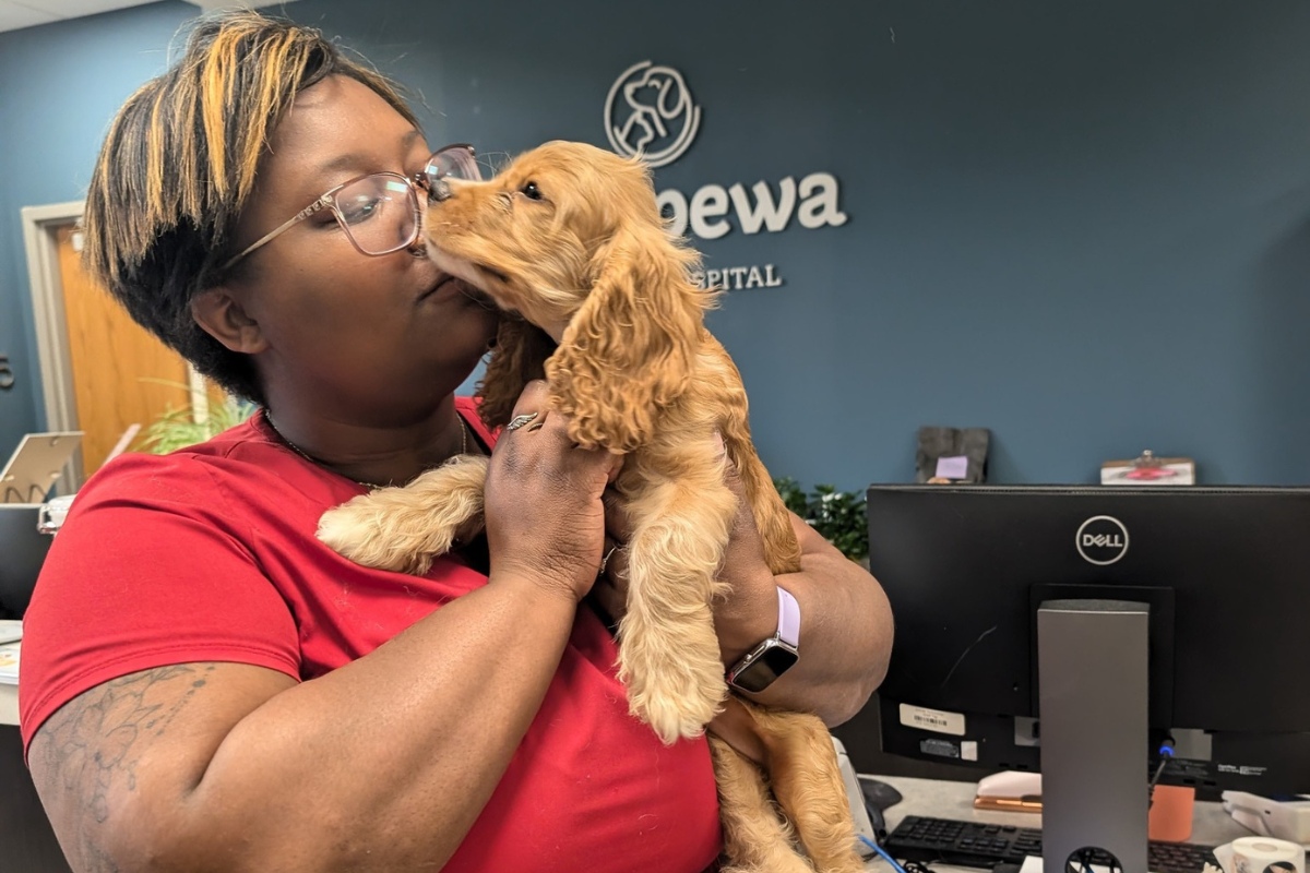 vet cradles a small dog in her arms