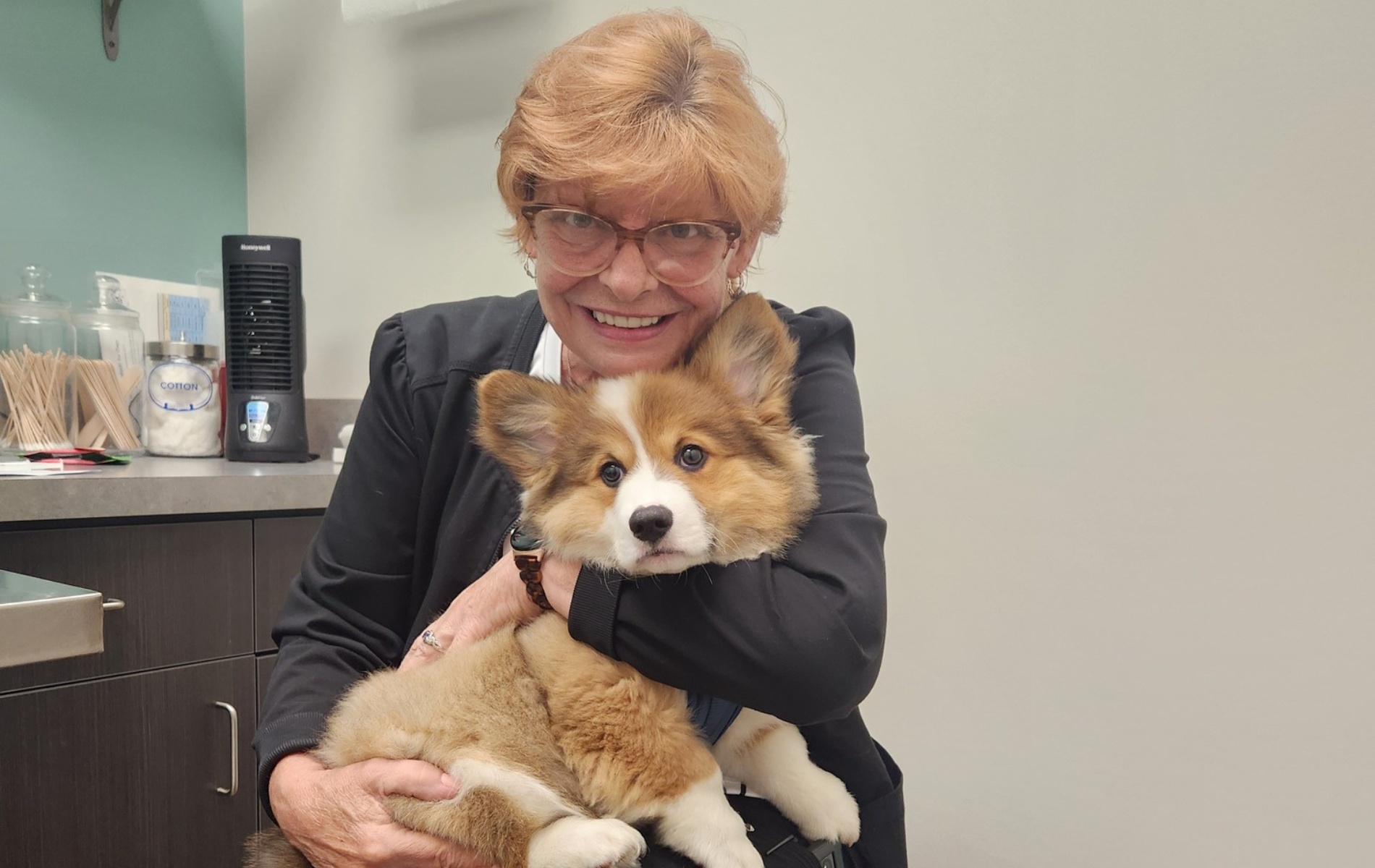 vet holding a small dog